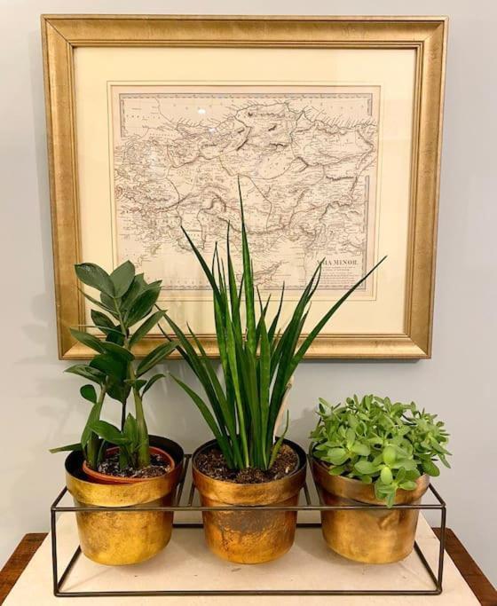 Old Riga Designer Luxury Apartment Dış mekan fotoğraf